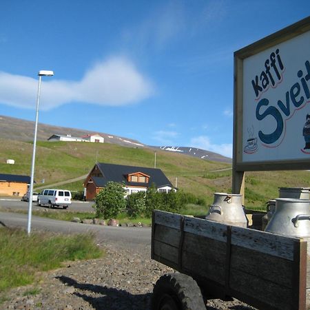 Daeli Guesthouse Víðidalstunga エクステリア 写真