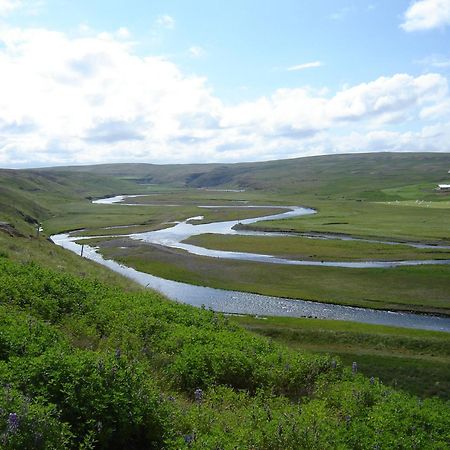 Daeli Guesthouse Víðidalstunga エクステリア 写真