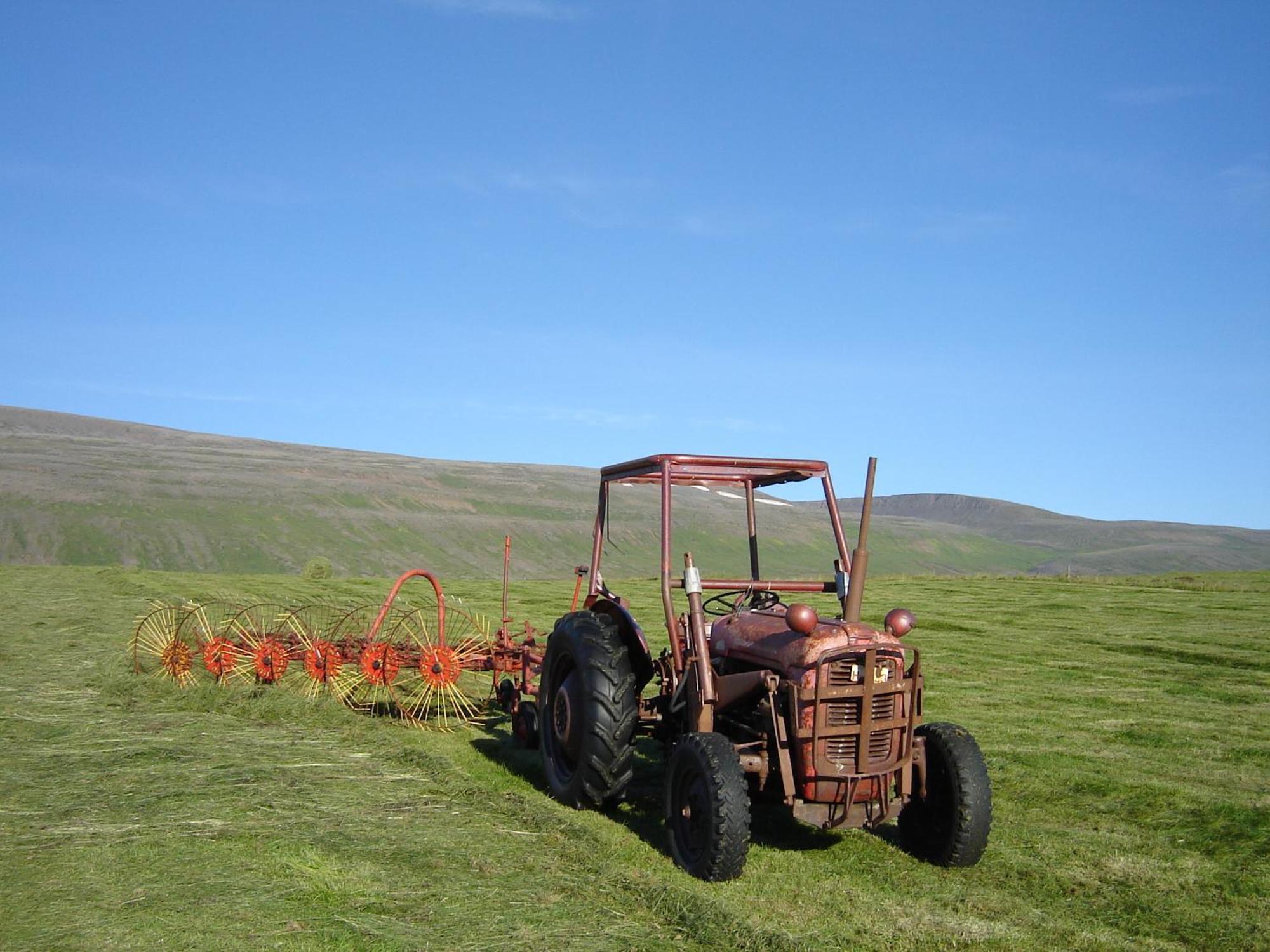 Daeli Guesthouse Víðidalstunga エクステリア 写真